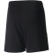 PUMA teamLIGA Shorts Kinder PUMA black/PUMA white 140