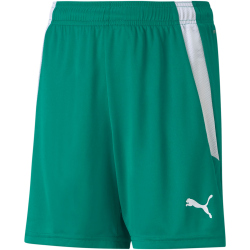 PUMA teamLIGA Shorts Kinder pepper green/puma white 140