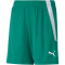PUMA teamLIGA Shorts Kinder pepper green/puma white 140