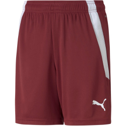 PUMA teamLIGA Shorts Kinder cordovan/puma white 140
