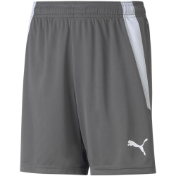 PUMA teamLIGA Shorts Kinder smoked pearl/puma white 116