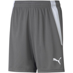 PUMA teamLIGA Trainingsshorts Kinder smoked pearl/puma...