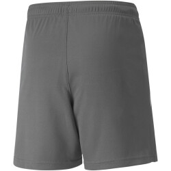 PUMA teamLIGA Trainingsshorts Kinder smoked pearl/puma...