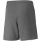 PUMA teamLIGA Shorts Kinder smoked pearl/puma white 116