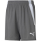 PUMA teamLIGA Trainingsshorts Kinder smoked pearl/puma white 164