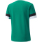 PUMA teamRISE Trikot Herren pepper green/pumablack/white XL