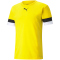 PUMA teamRISE Trainingsshirt Herren cyber yellow/pumablack/white M