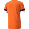 PUMA teamRISE Trainingsshirt Herren golden poppy/black/white XL
