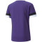 PUMA teamRISE Trainingsshirt Herren prism violet/black/white 3XL