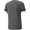 PUMA teamRISE Trainingsshirt Herren 13 - smoked pearl/puma black/puma white L