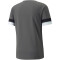 PUMA teamRISE Trainingsshirt Herren smoked pearl/black/white L