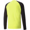 PUMA teamPACER langarm Torwarttrikot Herren fluo yellow/black/white XXL
