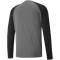 PUMA teamPACER langarm Torwarttrikot Herren smoked pearl/pumablack/white XXL