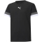PUMA teamRISE Trainingsshirt Kinder PUMA black/smokedpearl/white 140