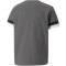 PUMA teamRISE Trikot Kinder smoked pearl/black/white 140
