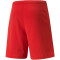 PUMA teamRISE Trainingsshorts Herren PUMA red/PUMA white XL