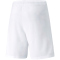 PUMA teamRISE Shorts Herren PUMA white/PUMA black XL