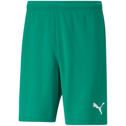 PUMA teamRISE Shorts Herren pepper green/puma white 3XL