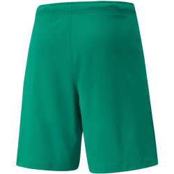 PUMA teamRISE Shorts Herren pepper green/puma white 3XL