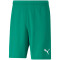 PUMA teamRISE Trainingsshorts Herren pepper green/puma white M