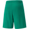 PUMA teamRISE Trainingsshorts Herren pepper green/puma white M