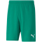 PUMA teamRISE Trainingsshorts Herren pepper green/puma white XL