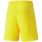 PUMA teamRISE Trainingsshorts Herren cyber yellow/puma black XL
