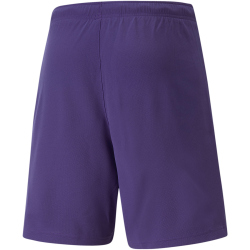 PUMA teamRISE Shorts Herren prism violet/puma white 3XL