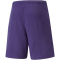 PUMA teamRISE Shorts Herren prism violet/puma white 3XL