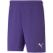 PUMA teamRISE Trainingsshorts Herren prism violet/puma white M