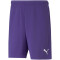 PUMA teamRISE Trainingsshorts Herren prism violet/puma white XL