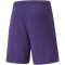 PUMA teamRISE Trainingsshorts Herren prism violet/puma white XL
