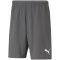 PUMA teamRISE Trainingsshorts Herren smoked pearl/puma white L