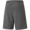 PUMA teamRISE Trainingsshorts Herren smoked pearl/puma white L