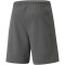 PUMA teamRISE Trainingsshorts Herren smoked pearl/puma white XXL