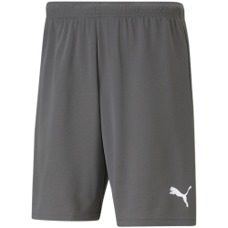 PUMA teamRISE Shorts Herren smoked pearl/puma white 3XL