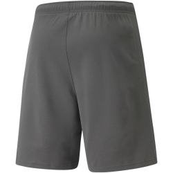 PUMA teamRISE Shorts Herren smoked pearl/puma white 3XL