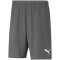 PUMA teamRISE Trainingsshorts Herren smoked pearl/puma white M