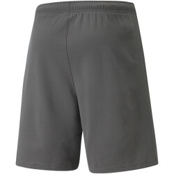 PUMA teamRISE Trainingsshorts Herren smoked pearl/puma...