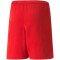 PUMA teamRISE Trainingsshorts Kinder PUMA red/PUMA white 128