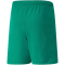 PUMA teamRISE Trainingsshorts Kinder pepper green/puma white 140