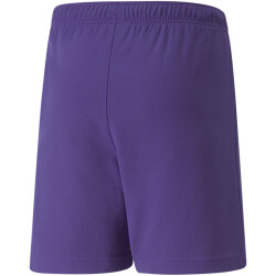 PUMA teamRISE Trainingsshorts Kinder prism violet/puma...