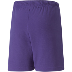 PUMA teamRISE Trainingsshorts Kinder prism violet/puma white 164