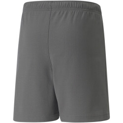PUMA teamRISE Trainingsshorts Kinder smoked pearl/puma...