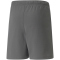 PUMA teamRISE Shorts Kinder smoked pearl/puma white 128