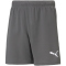 PUMA teamRISE Trainingsshorts Kinder smoked pearl/puma white 116