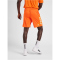 hummel Core XK Poly Shorts Herren orange tiger XXL