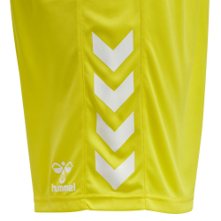 hummel Core XK Poly Shorts Herren blazing yellow XXL