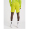 hummel Core XK Poly Shorts Herren blazing yellow XXL