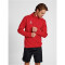 hummel Core XK Poly 1/2-Zip Trainings-Top Herren true red XXL